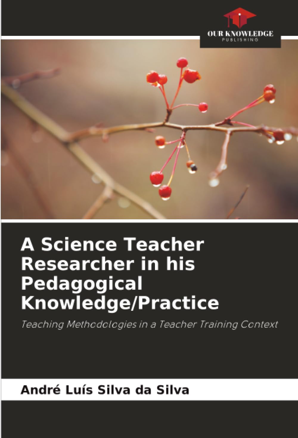 A Science Teacher Researcher in his Pedagogical Knowledge/Practice: Teaching Methodologies in a Teacher Training Context