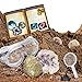 NATIONAL GEOGRAPHIC Break Open 2 Geodes Science Kit – Includes Goggles, Detailed Learning Guide and Display Stand - Great STEM Science gift for Mineralogy and Geology enthusiasts of any age