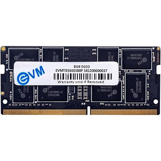 EVM 8GB DDR5 Laptop RAM