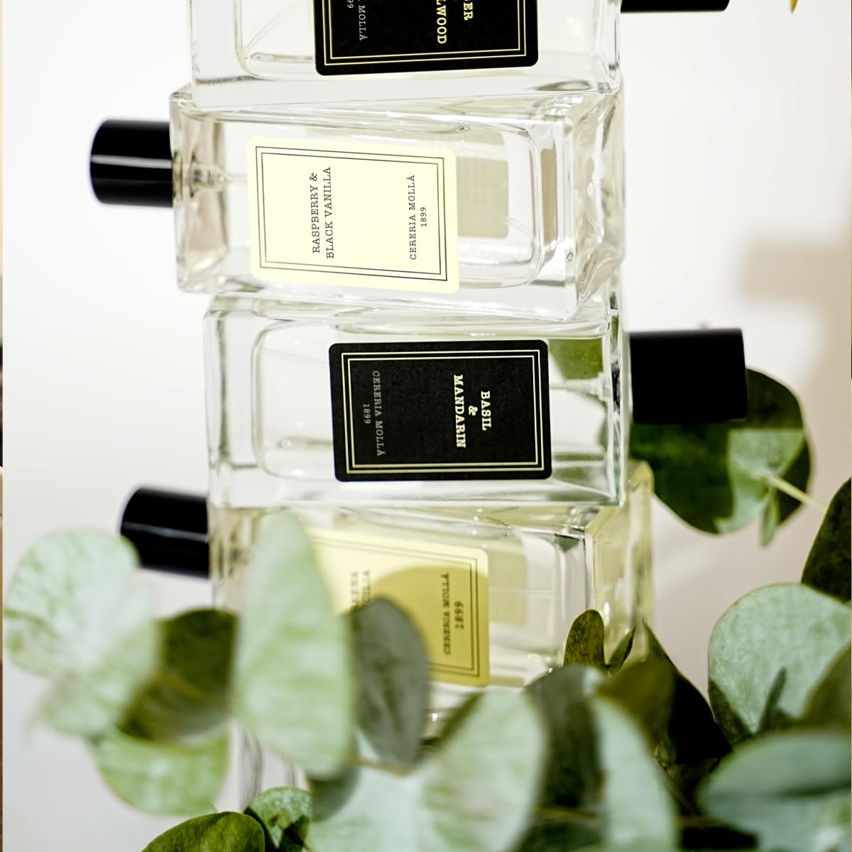 CERERÍA MOLLA 1899 | Mikado Premium Basil & Mandarin | Ambientador De Hogar | Difusor De Varillas | Perfume Para Hogar |100 Ml