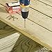 Deck Screws With Bit, Gold, 1-5/8-In., 75-Pk.