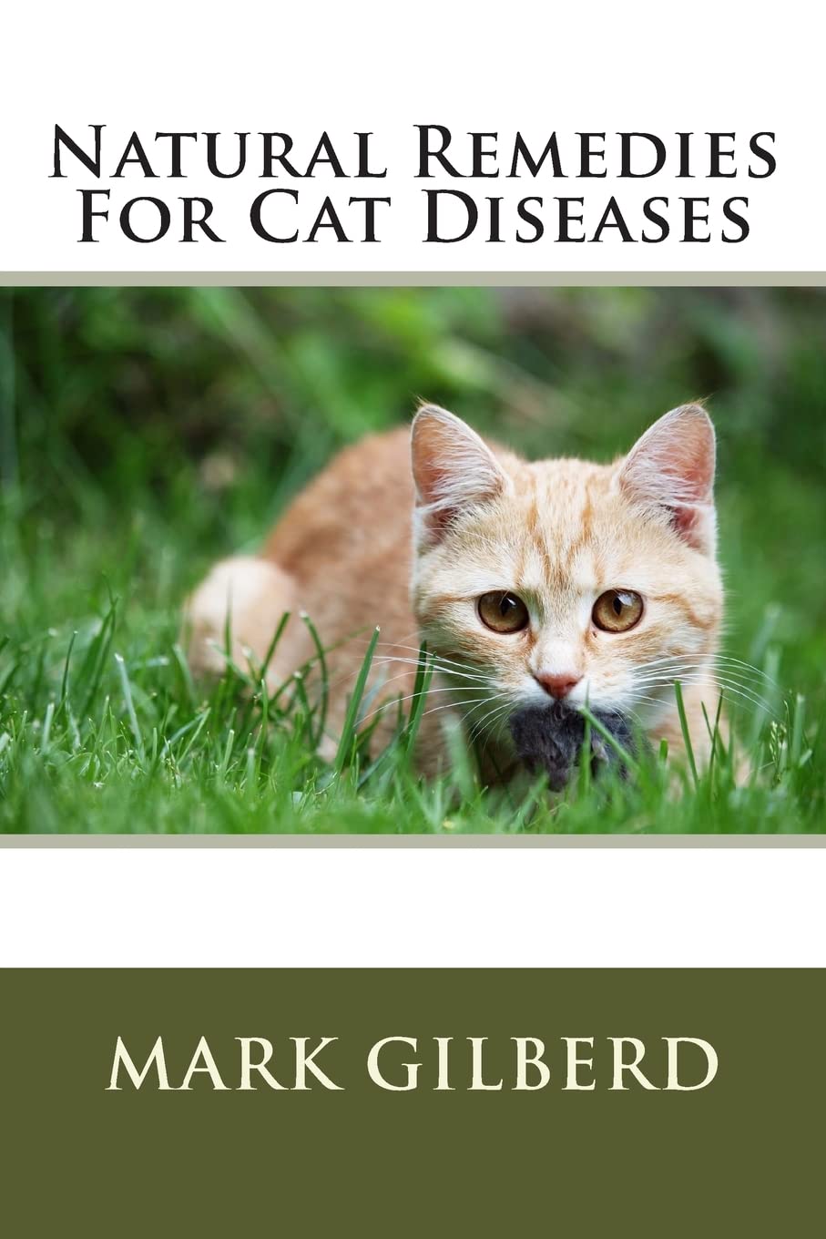 Natural Remedies For Cat Diseases (Natural Remedies For Animals Series)