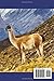 Patagonia Travel Guide 2025:: The Ultimate Companion for Travelers (Travel The World)