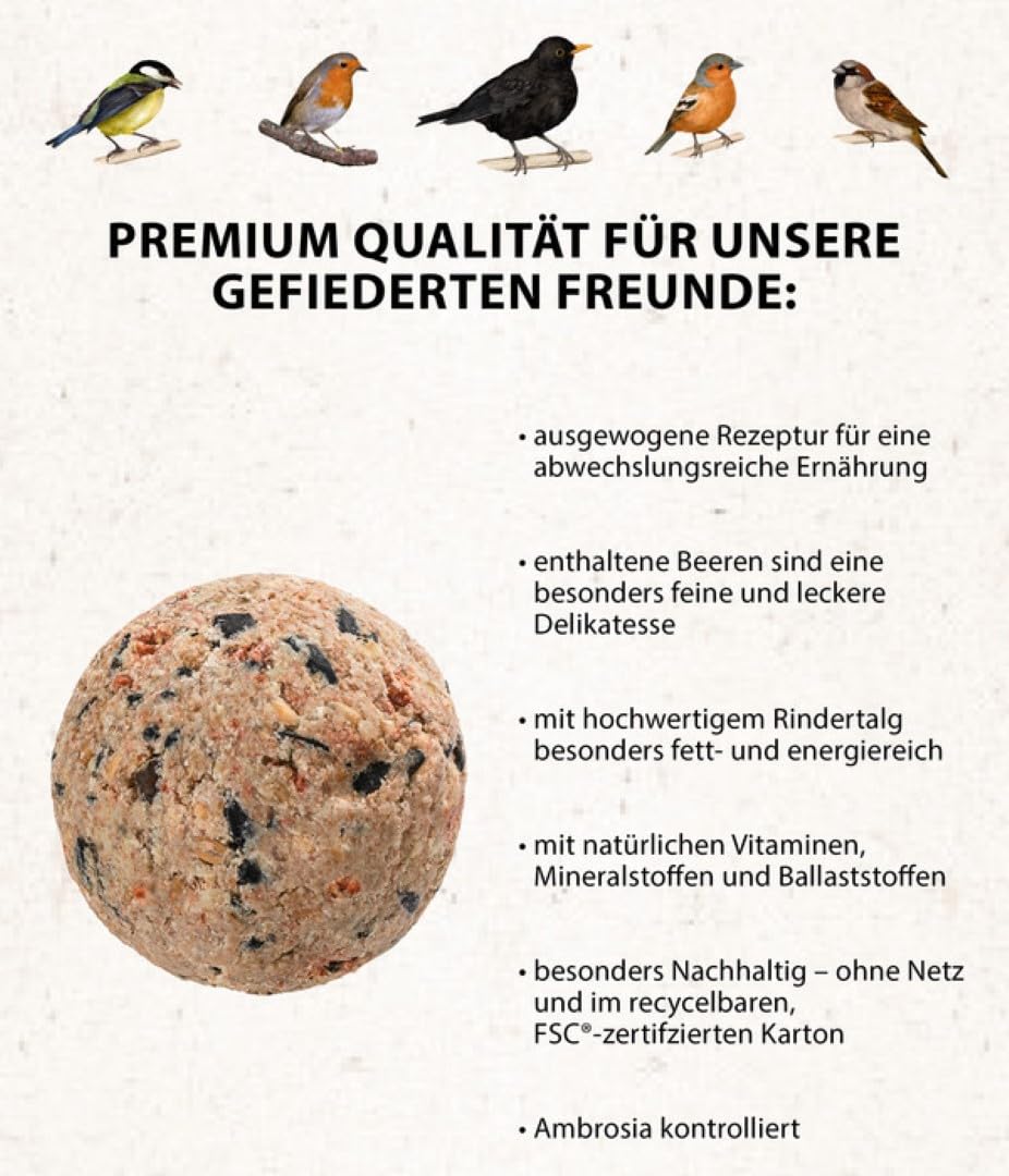 Dehner Natura Premium Meisenknödel ohne Netz, Beerenknödel, ganzjähriges Wildvogelfutter proteinreich / energiereich, im Eimer, 100 Stück je 90 g (9 kg)