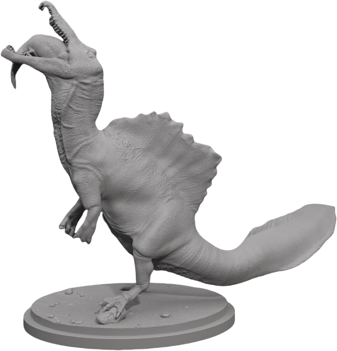 楽天市場】ガラスドーム（コレクションケース｜コレクション）：ホビー