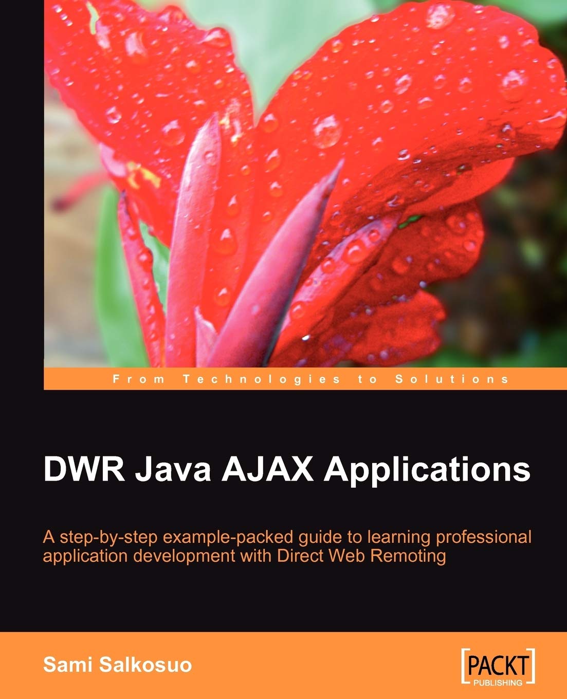DWR Java AJAX Applications Paperback – Import, 30 October 2008