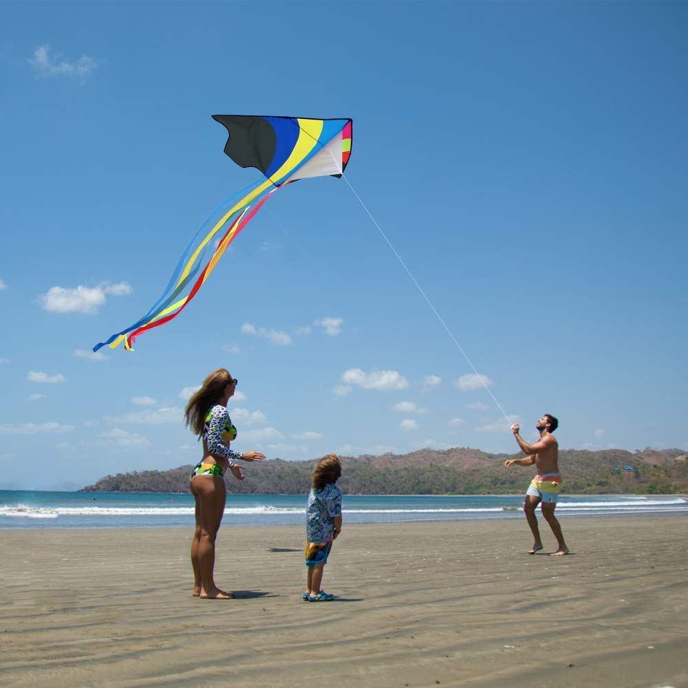 Mint's Colorful Life Delta Kites 2 Pack - Image 7