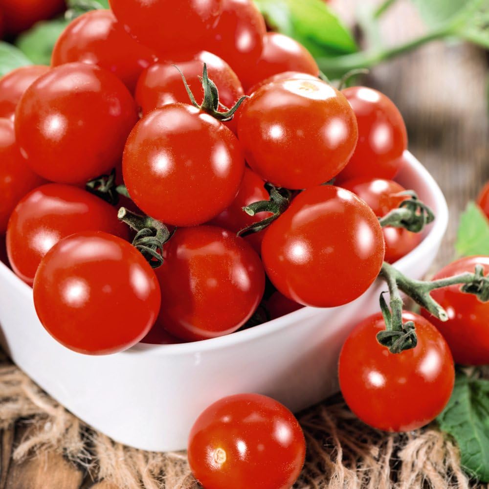 Tomato 'Consuelo' F1 (Crimson Cherry) Seeds - Blight-Resistant