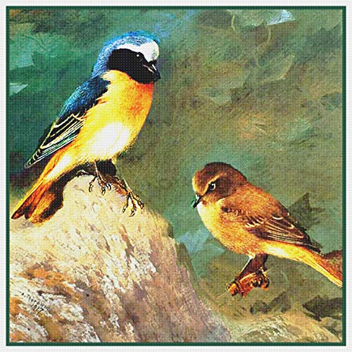 Orenco Originals Red Starts By Naturalist Thorburn's Birds Counted Cross Stitch Pattern #TOP10