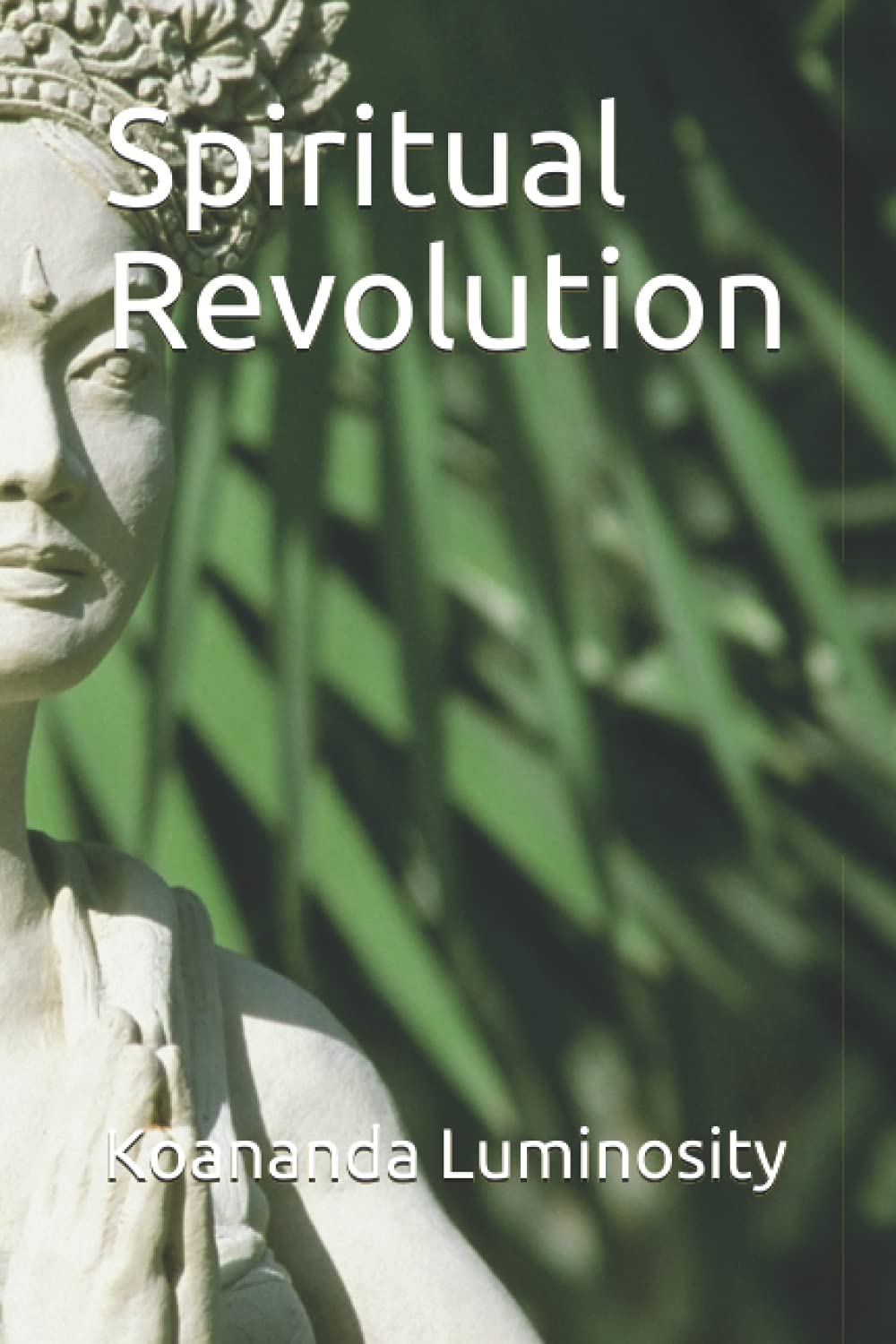 Spiritual Revolution Now