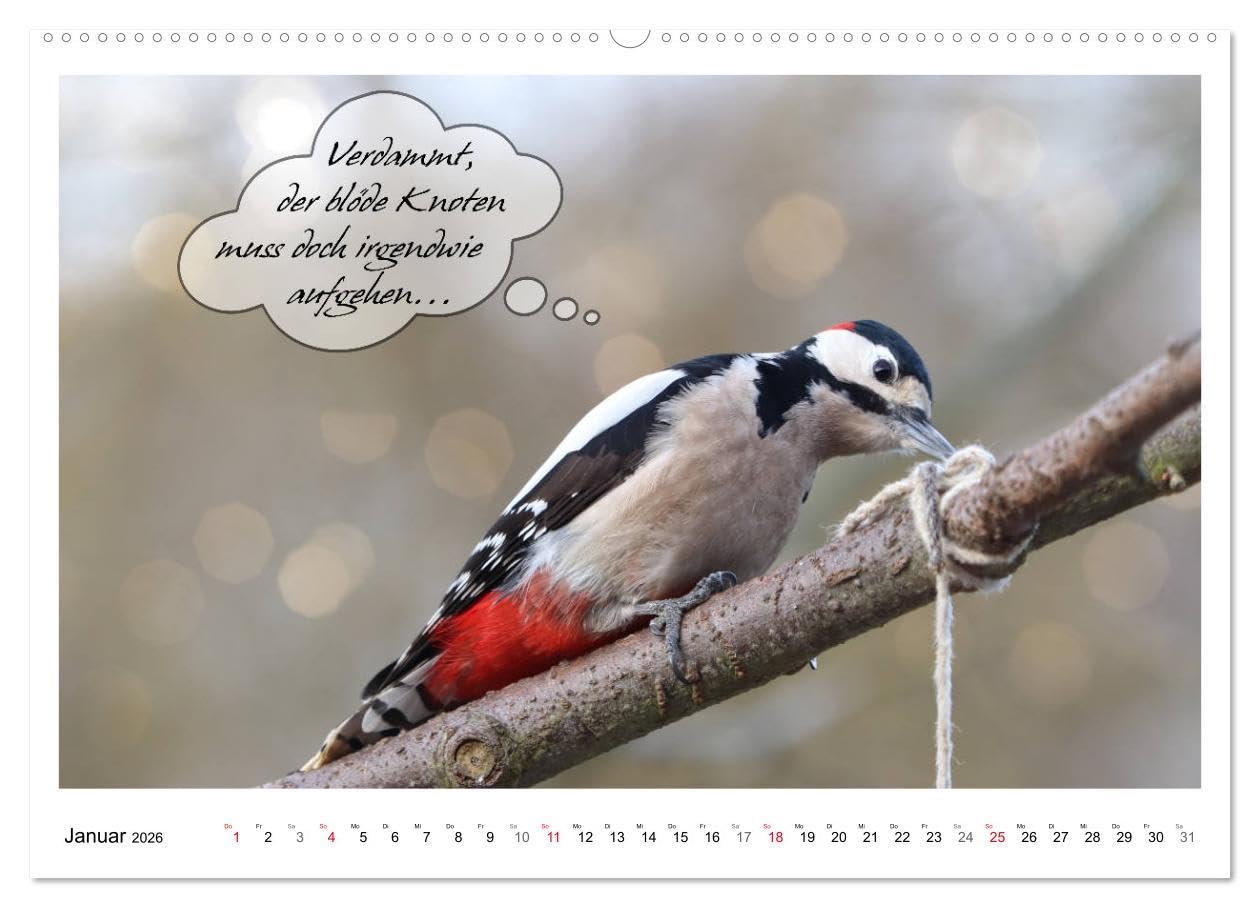 Vögel mit Humor (hochwertiger Premium Wandkalender 2026 DIN A2 quer), Kunstdruck in Hochglanz: Lustige Sprüche aus frechen Schnäbeln (CALVENDO Spass)