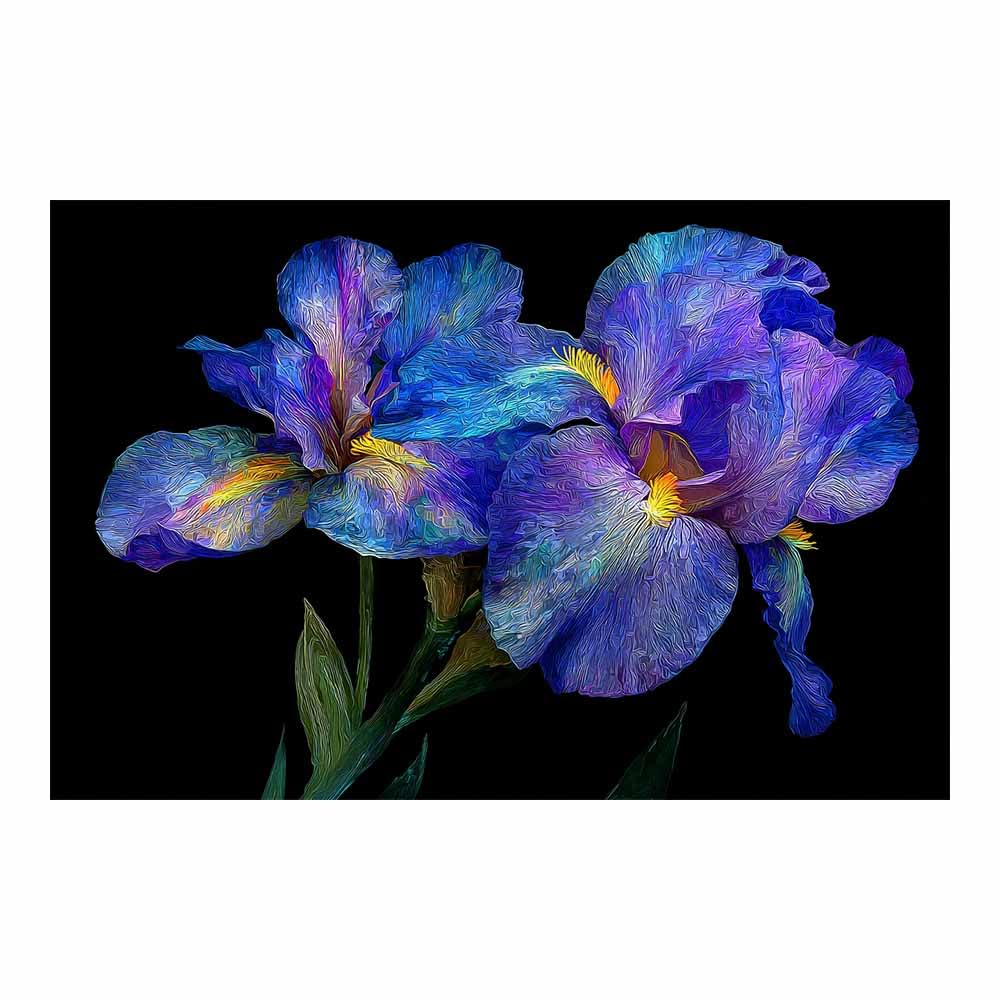 Xeniou Multicolor Flowers Wall Canvas Colorful Irises Painting Canvas Wall Art, For Bedroom Office Home Decorations(Multicolor)-80X120cm Unframed