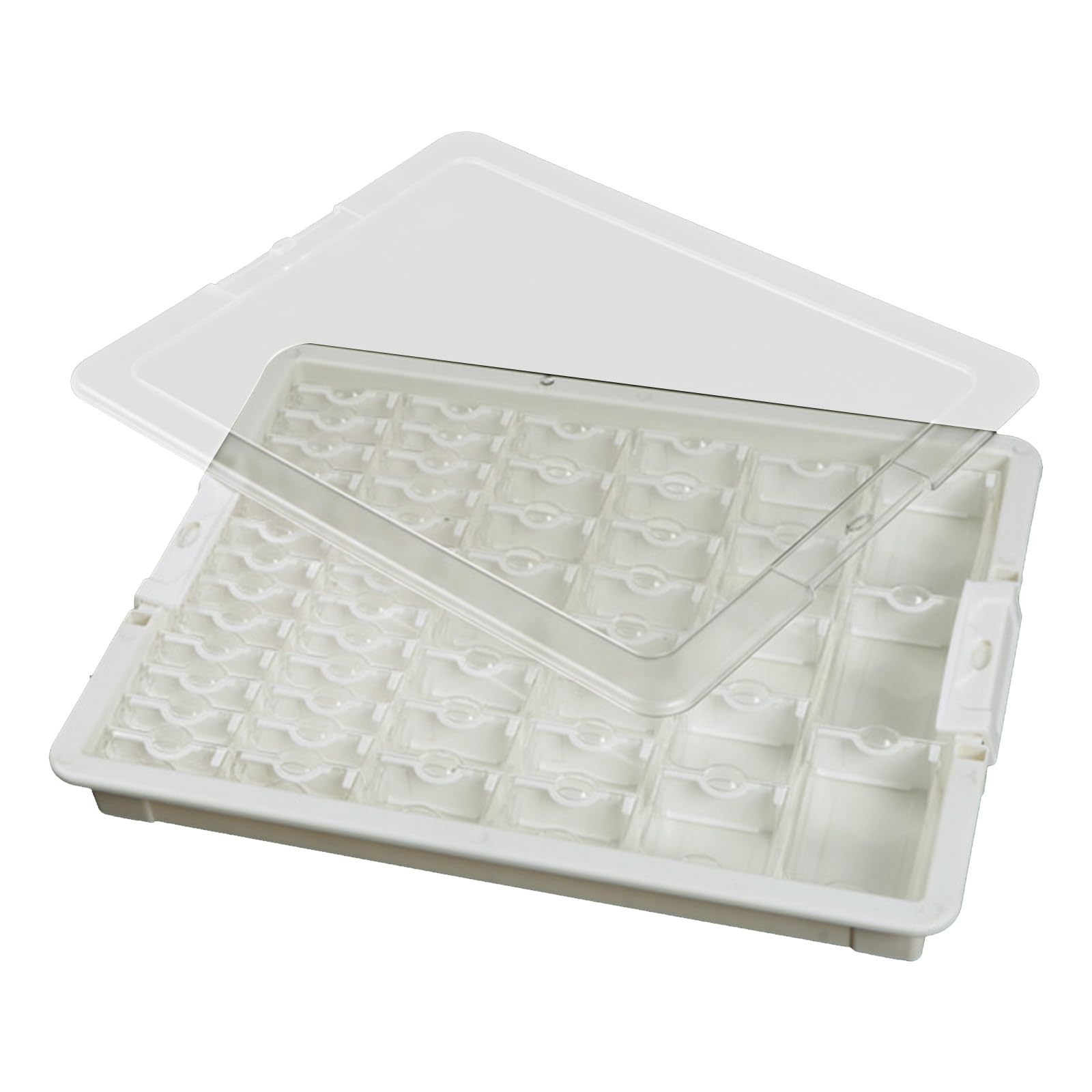 RAFGALDEX Transparents Bead Storage Container Multi Compartment Jewelry Organizers for Beads and Small Accessories Sorting Tray Beading Supplies Organizers
