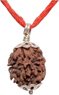 ARKAM Two Mukhi Oval Rudraksha Certified/Original 2 Mukhi Rudraksh/Natural 2 faced Rudraksha with Silver Pendant (Brown) with Certificate and Puja Instructions-picture-50