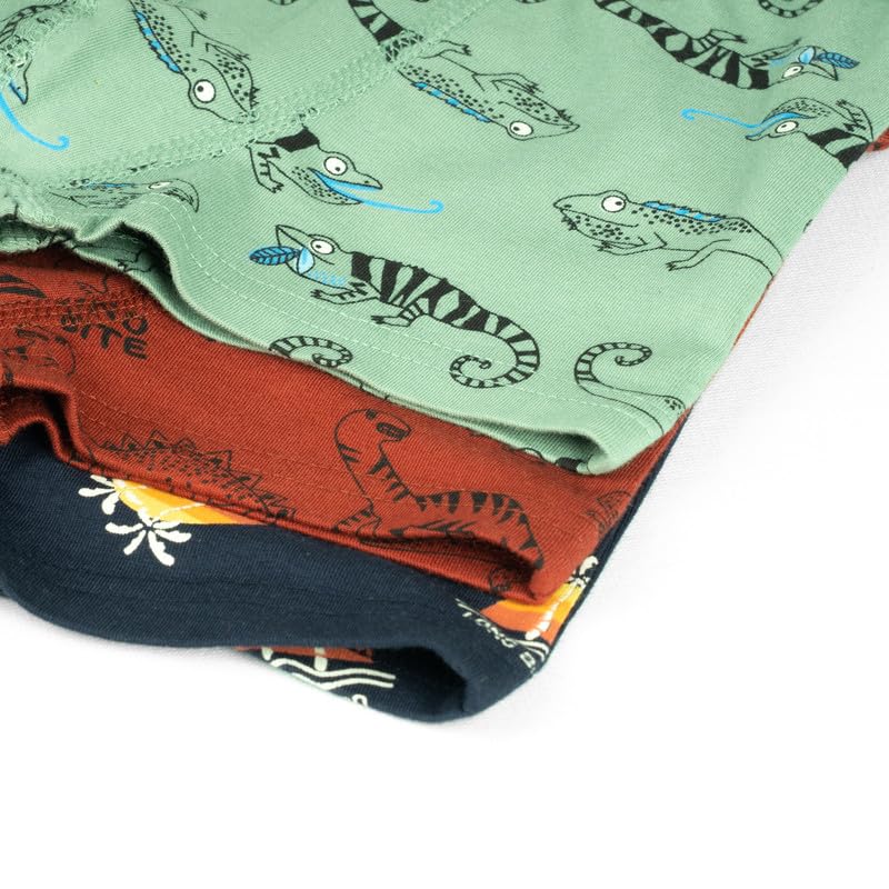 Image of ARIEL Boy's Cotton Multicolor Briefs (Pack of 6)