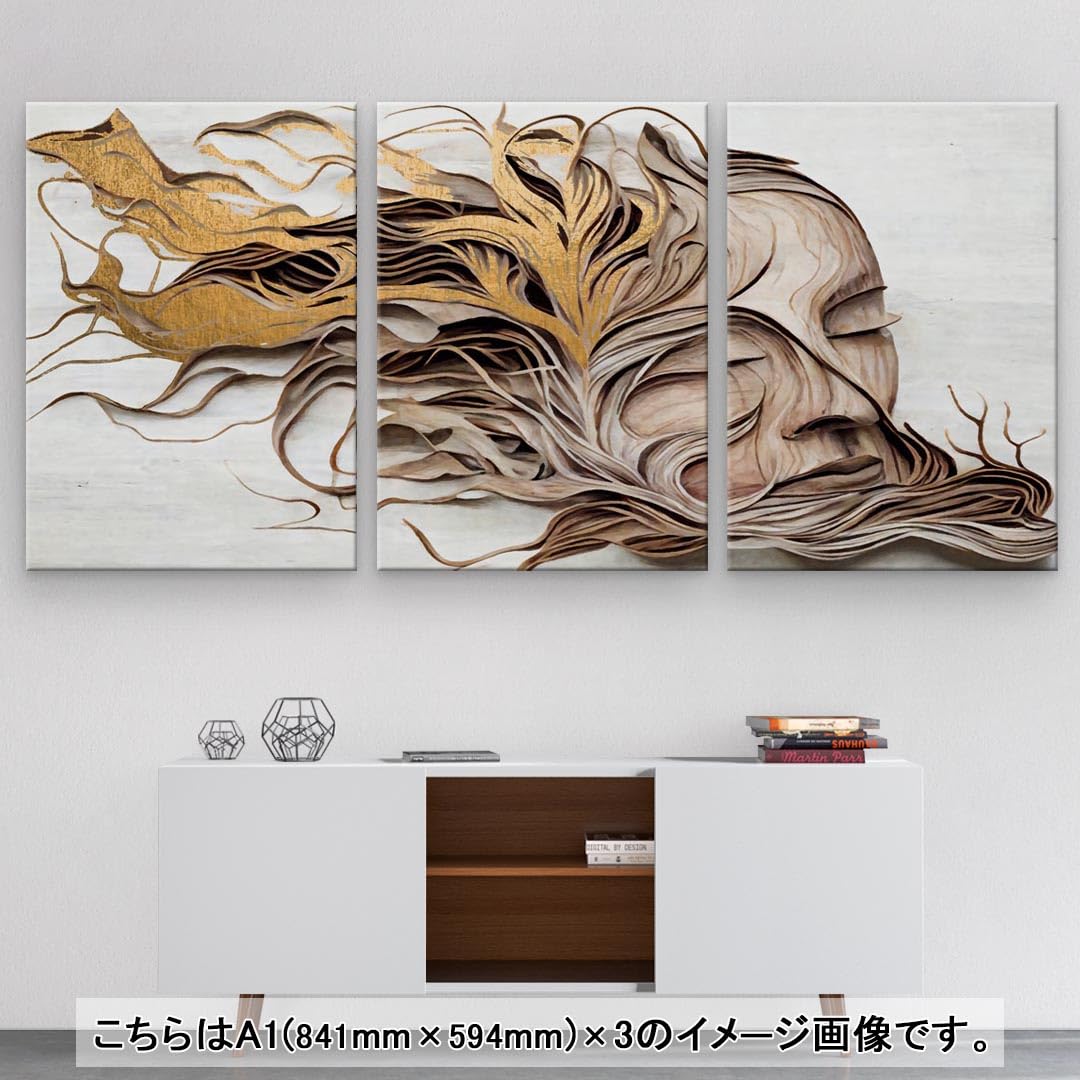 Amazon.co.jp: アートパネル 3連 3枚セット 絵 絵画 飾り igsticker