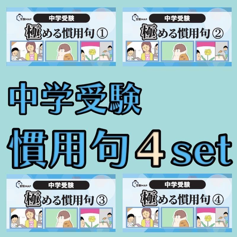 いちご様 リクエスト 5点 商品 中学受験 暗記カード