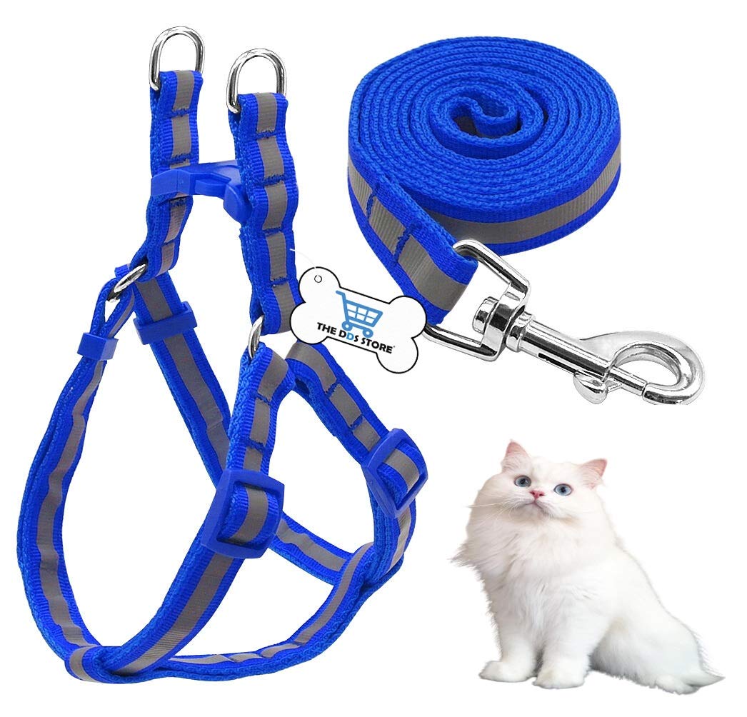 The DDS Store Nylon Reflective Cat Harness Leash Lead Set for Puppy (Blue, Reflective Cat Harness) (B08TX25QR5) Amazon Price History, Amazon Price Tracker