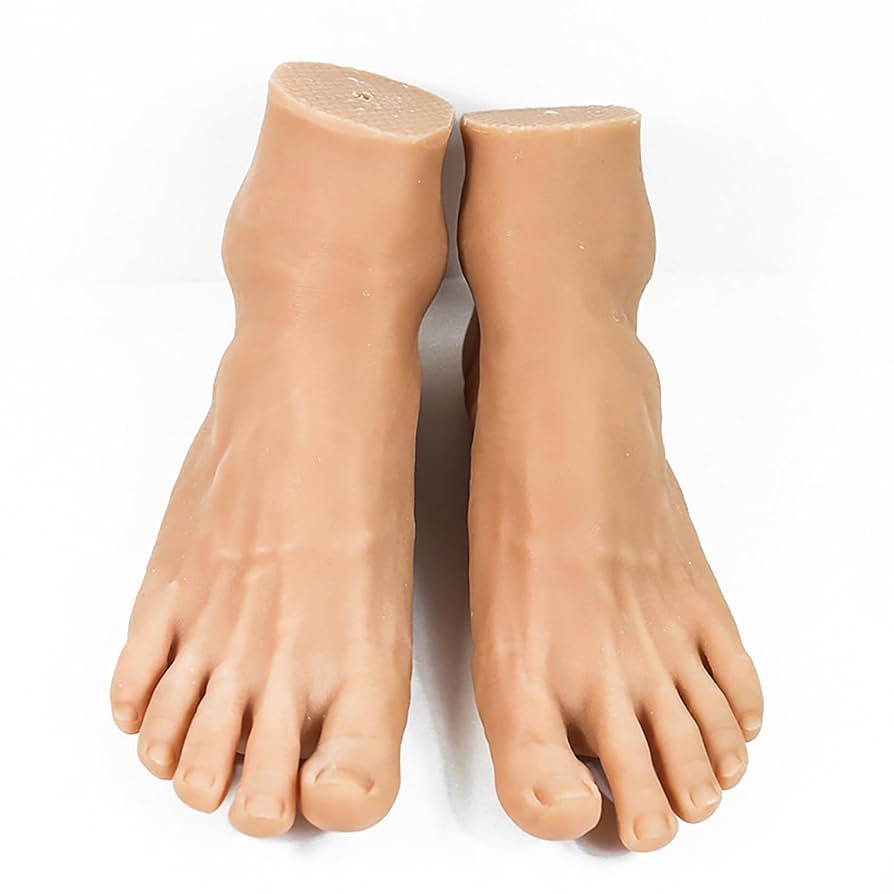 Amazon.co.jp: シリコン フート モデル 骨絡付 男性 足トルソー