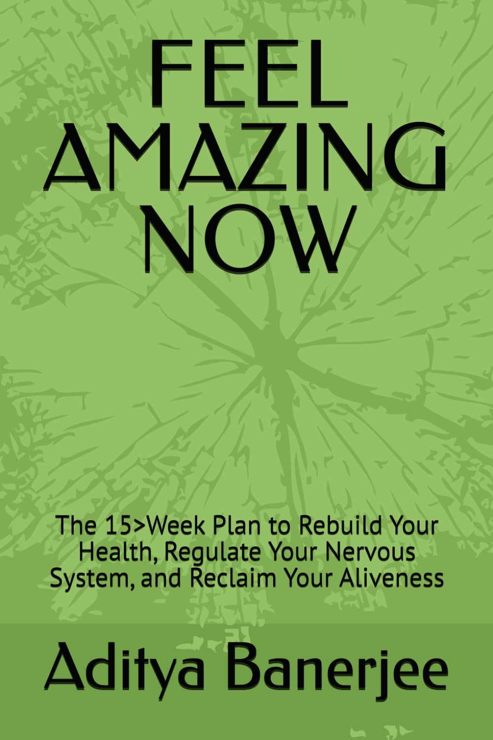 FEEL AMAZING NOW: The 15>Week Plan to Rebuild Your Health, Regulate Your Nervous System, and Reclaim Your Aliveness