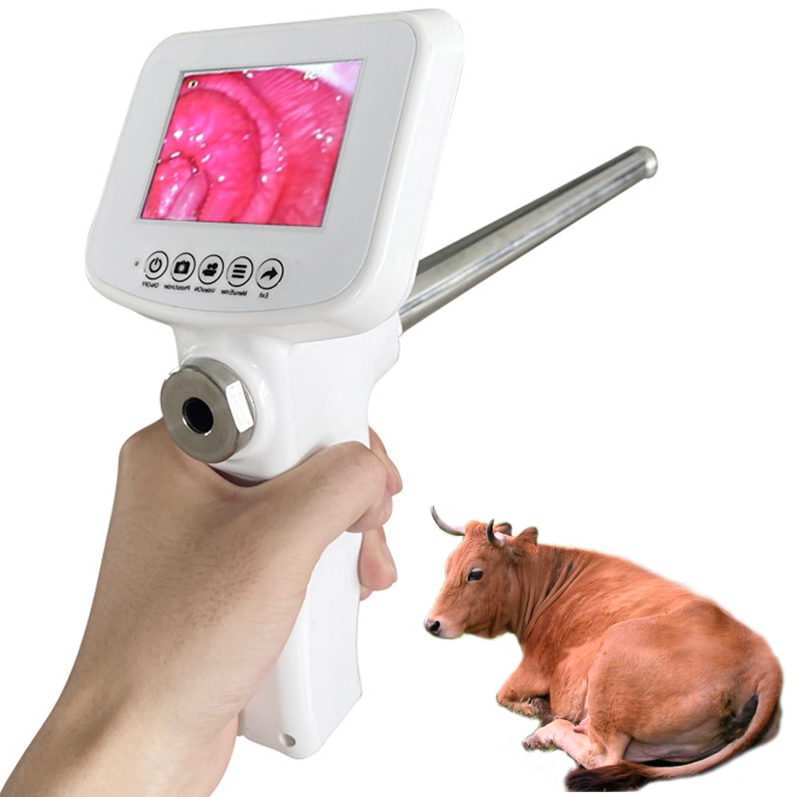 Artificial Insemination Gun Kit - AI Breeding Device for Cows with Visual Endoscope - Veterinary Sperm Breeding Tool for Farm & Ranch