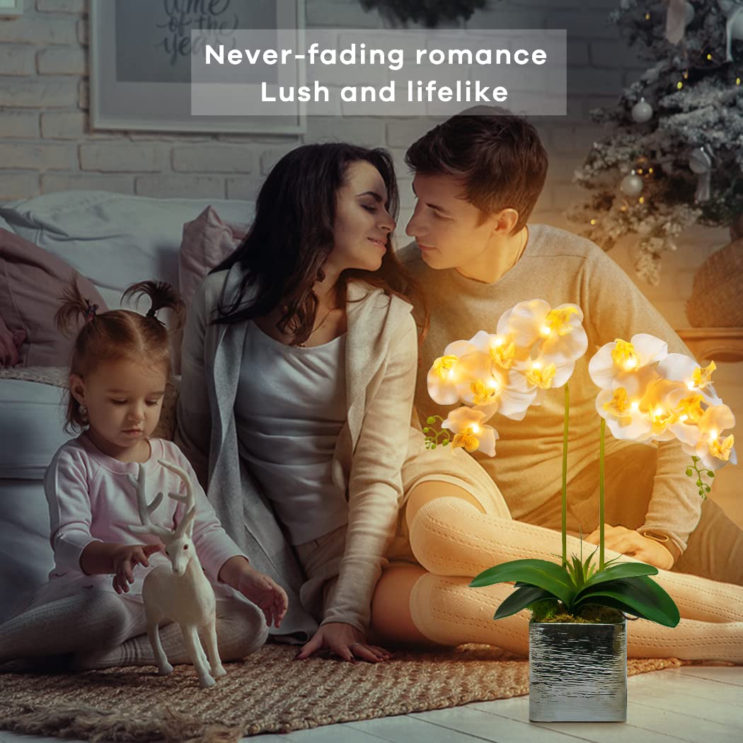 HOMESEASONS Orquídea Artificial Preiluminada LED (Blanco)