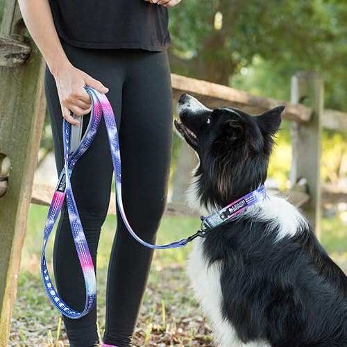 Miniatura 9 de Leash Boss Collar reflectante con estampado Martingale y correa de 6 pies con asas acolchadas, cuello mediano de 14.5 a 17 pulgadas, patrón espacial