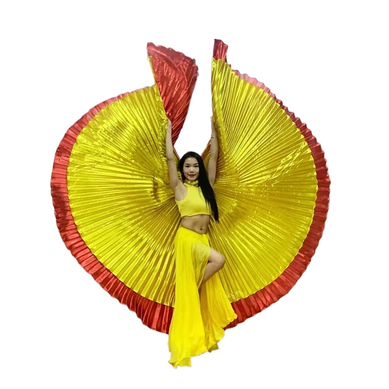 ZNJAMN 1pcs Isis Wings Egyptian Belly Dance Carnivals Festivals Cosplay Fairy New Unique Two-Color Stitching +Sticks for Performance(Back Not Open)