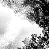 What Now Becomes