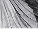 PAVILIA Gray Ombre Fleece Throw Blanket for Couch, Soft Flannel Blanket for Sofa Bed Room, Plush Lightweight Light Grey Gradient Blanket, Cozy Microfiber Decorative Gift Throw, 50x60