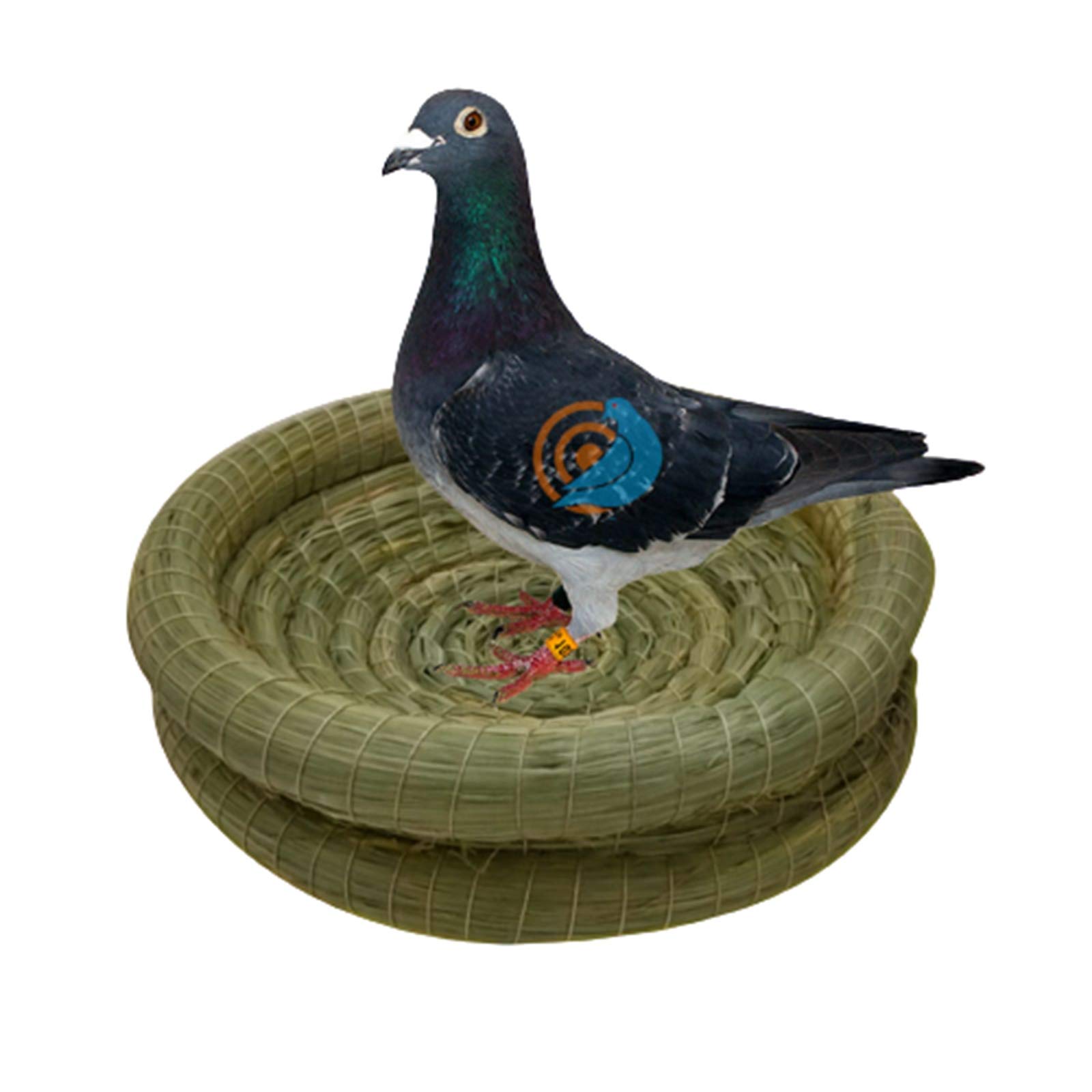 Nidi per Uccelli Giardino all'aperto Courtyard Bird's Nest Bird Pigeon Pigeon PAnrot Bird House, Casa per Uccelli Calda e Confortevole, 25x8 cm (Color : 1 Piece)