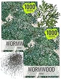 Seed Needs Wormwood Seeds for Planting - Non-GMO, Heirloom & Untreated Perennial Herb - Medicinal Herbs for Digestion & Gut Health (2 Packs)