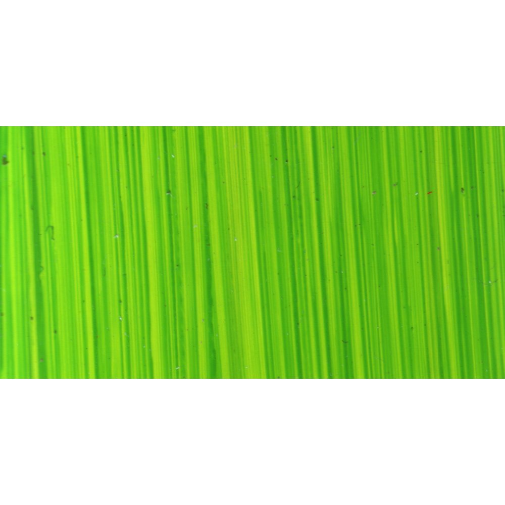 Michael Harding Green : Oil Paint : 225Ml : Bright Lake