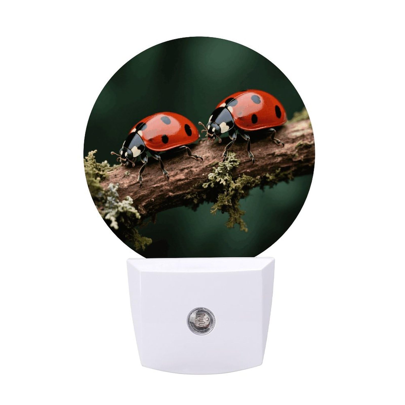FodPand Night Light Plug Into Wall with Dusk to Dawn Sensor 0.5w Modern LED Ladybug Plug in Night Lamp Warm White Glow Nightlight for Bedroom Hallway Kitchen Bathroom Stairs Corridor(Round)