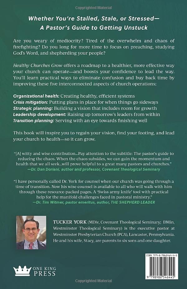 Healthy Churches Grow: The Pastor's Guide to Reducing Chaos, Creating Momentum, and Leading His Church to Health - Image 2