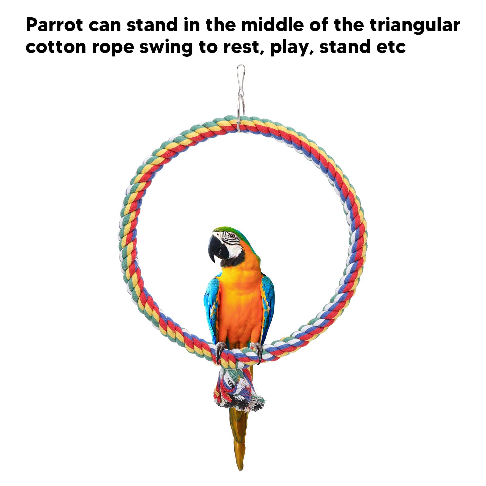 Altalena per Pappagalli con e Corda di Cotone - Cerchio da Arrampicata per Uccelli - Disponibili Misure Piccole e Grandi - Ideale per Giochi all'Interno Ed all'Aperto