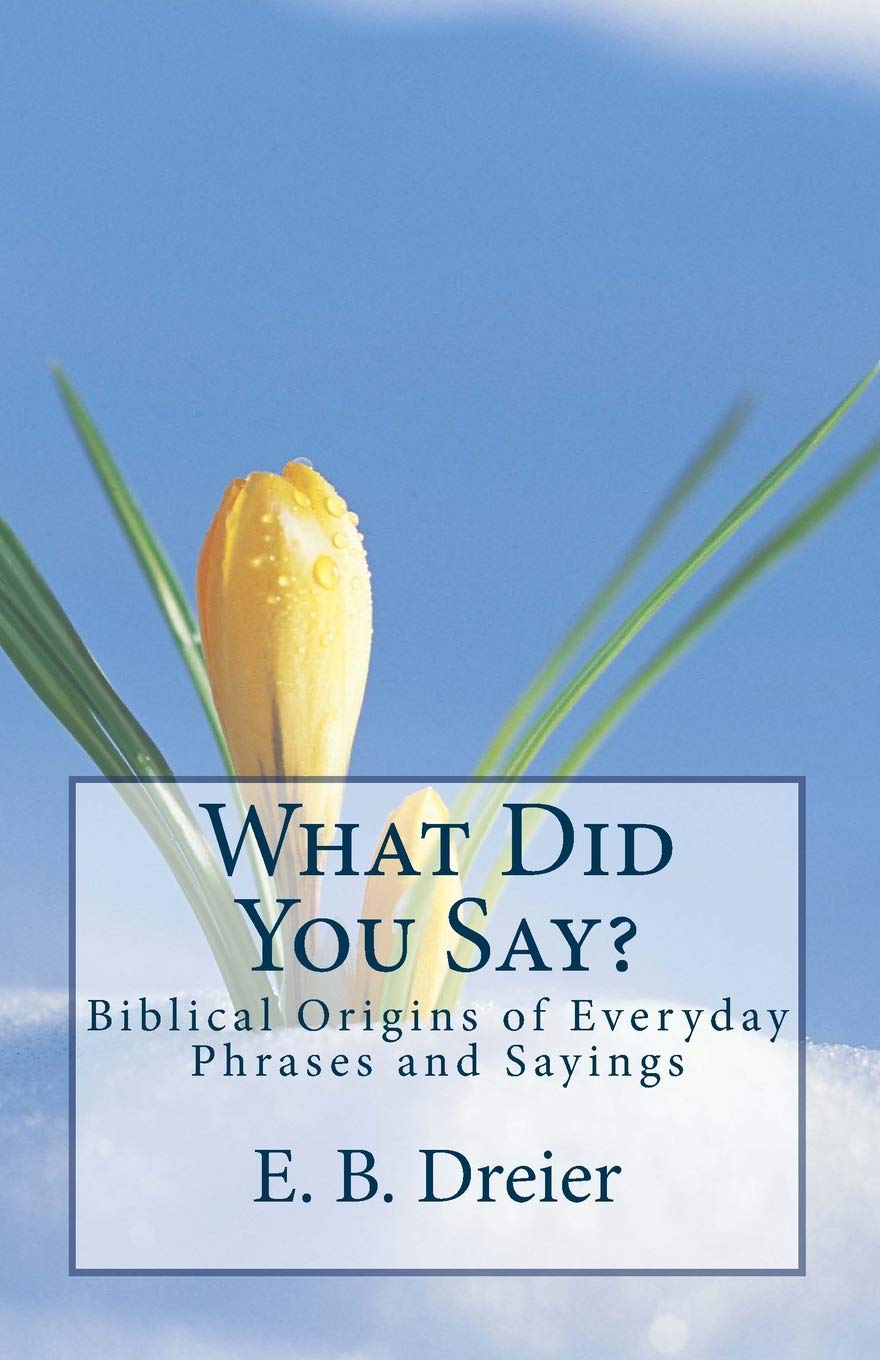 What Did You Say?: Biblical Origins for Everyday Phrases and Sayings.: Volume 1