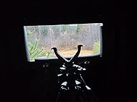 Review Image by Rcher Rcher