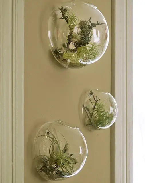 Set of 3 Wall Hanging Glass Terrariums for Indoor Plants and Succulents