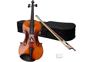 16 Inches Acoustic Viola for Beginners - An Ideal Entry to the Musical World