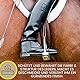 Lederseife Sattelseife Leder Pferd 0,25 0,5l für Ledercouch Sofa Couch Sattel Jacke Schuhe Stiefel I Saddle Soap Lederfett farblos - Lederpflegemittel Lederpflege Auto Leder Balsam Leder Reinigung