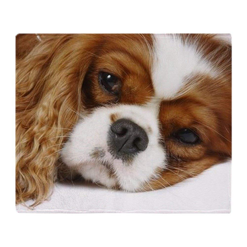 Yisumei Soft Fleece Blanket Cavalier King Charles Spaniel 100 X |  Desertcart Seychelles, image size:1000x1000