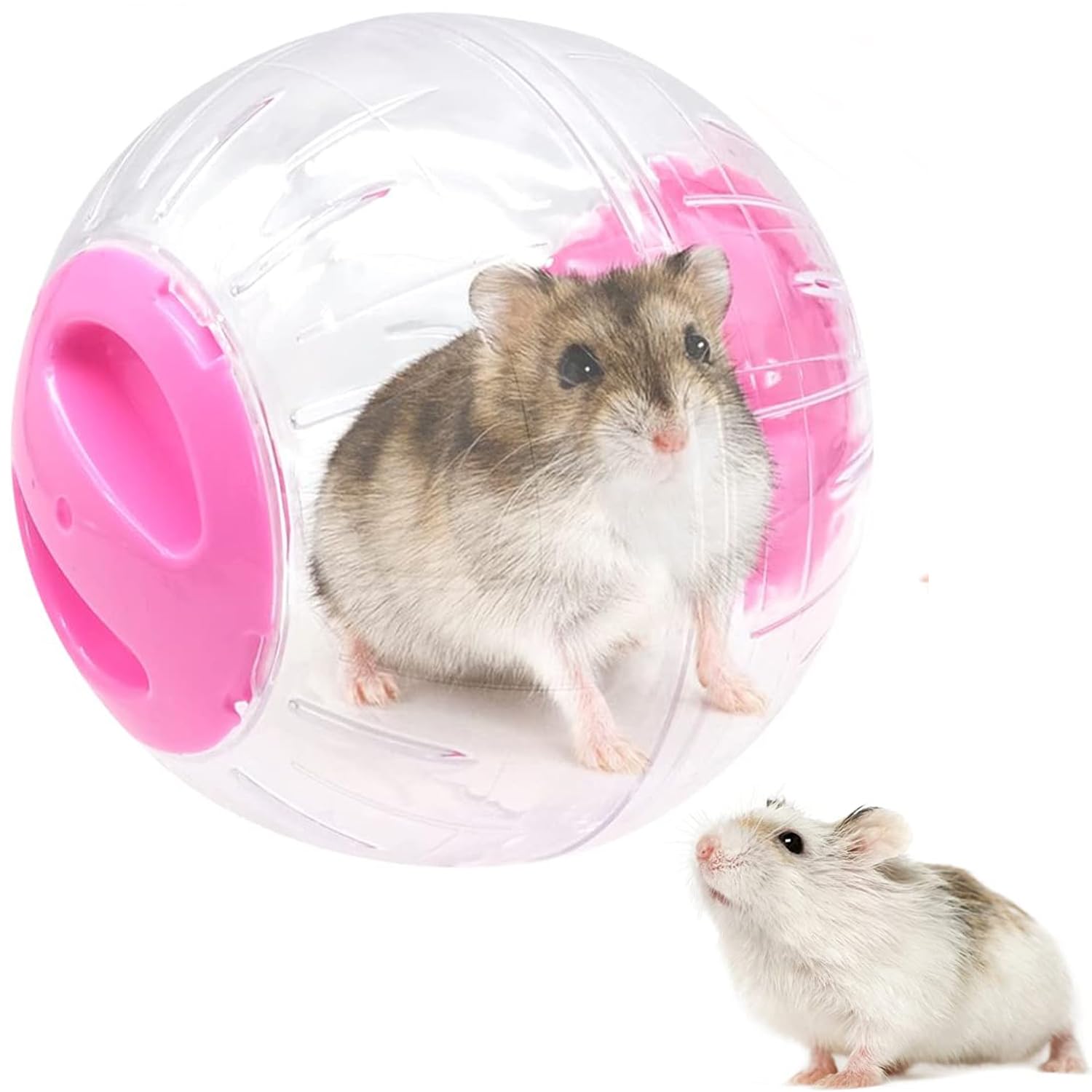 INHEMING 2 Pezzi Palla Da Corsa Per Criceti 12 Cm - Palle Esercizio Trasparenti Per Animali Domestici - Foto 8