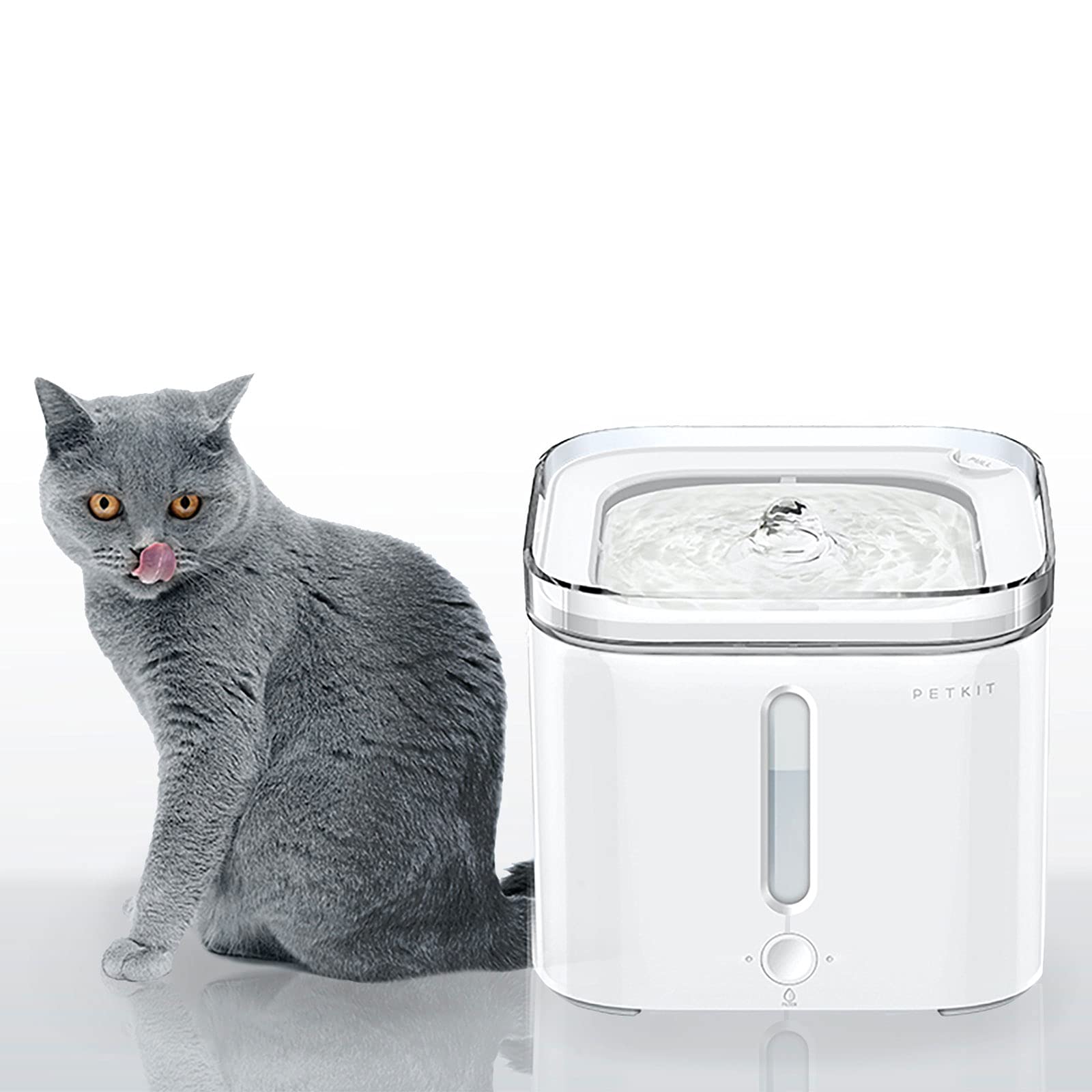 eversweet smart pet drinking fountain