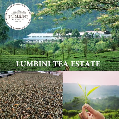 Té negro especiado en hebras 100g miniatura 5