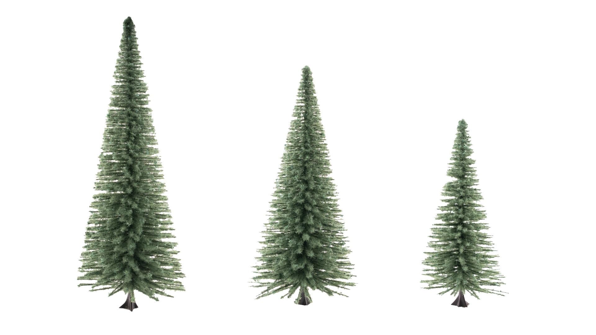 Fir Trees