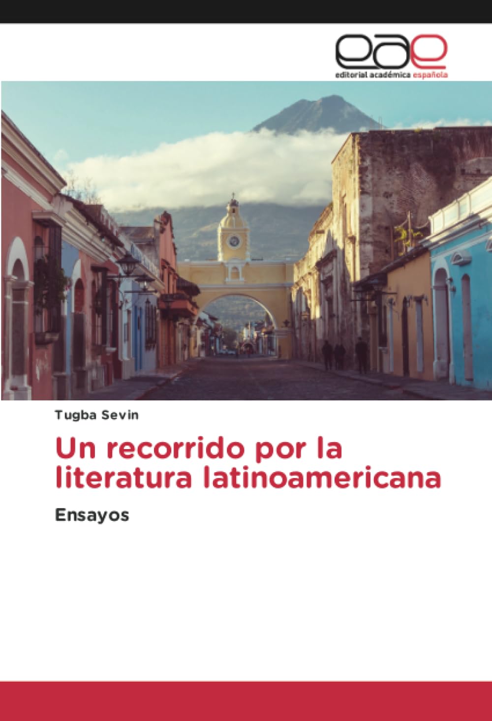 Un recorrido por la literatura latinoamericana: Ensayos