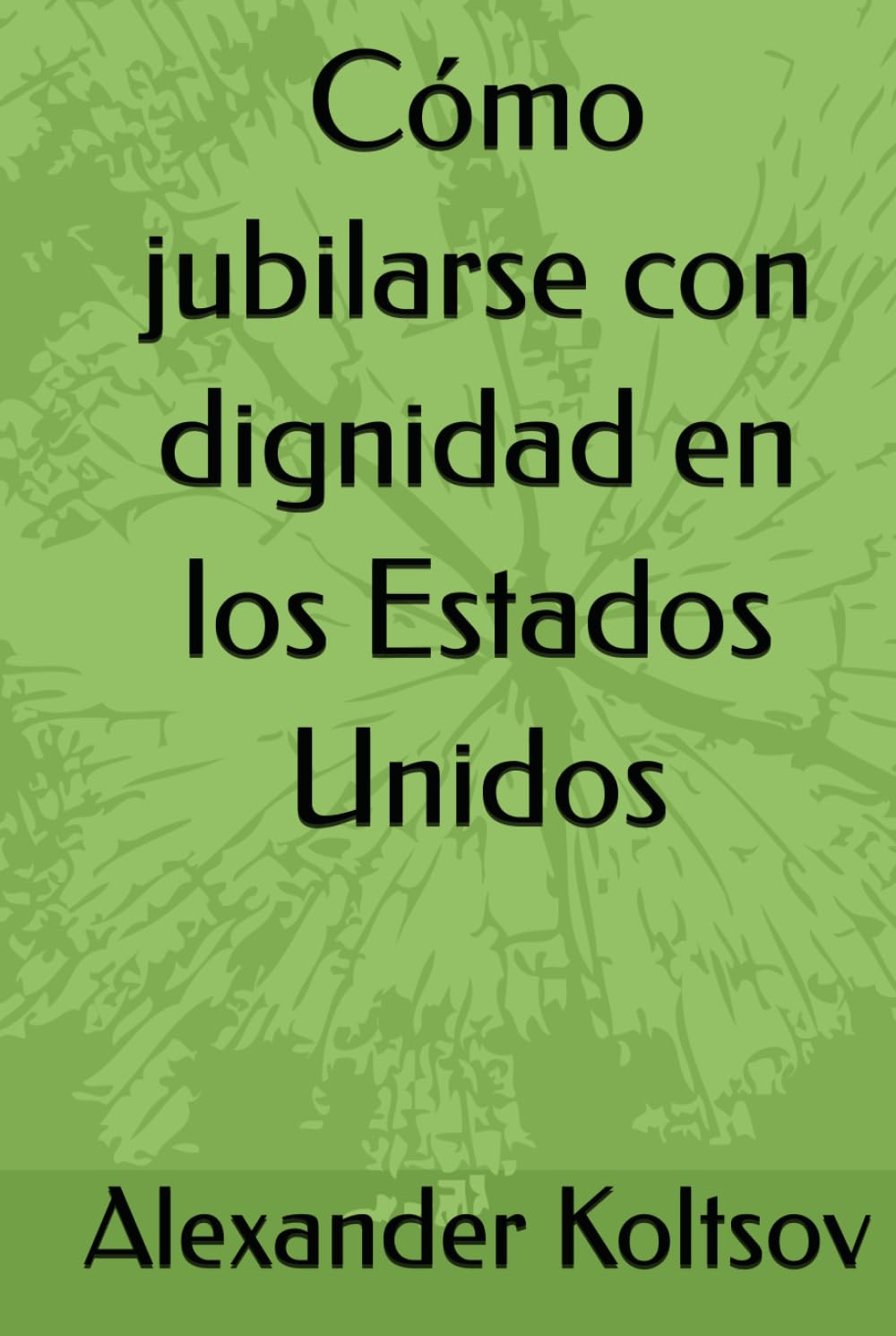 Cómo jubilarse con dignidad en los Estados Unidos