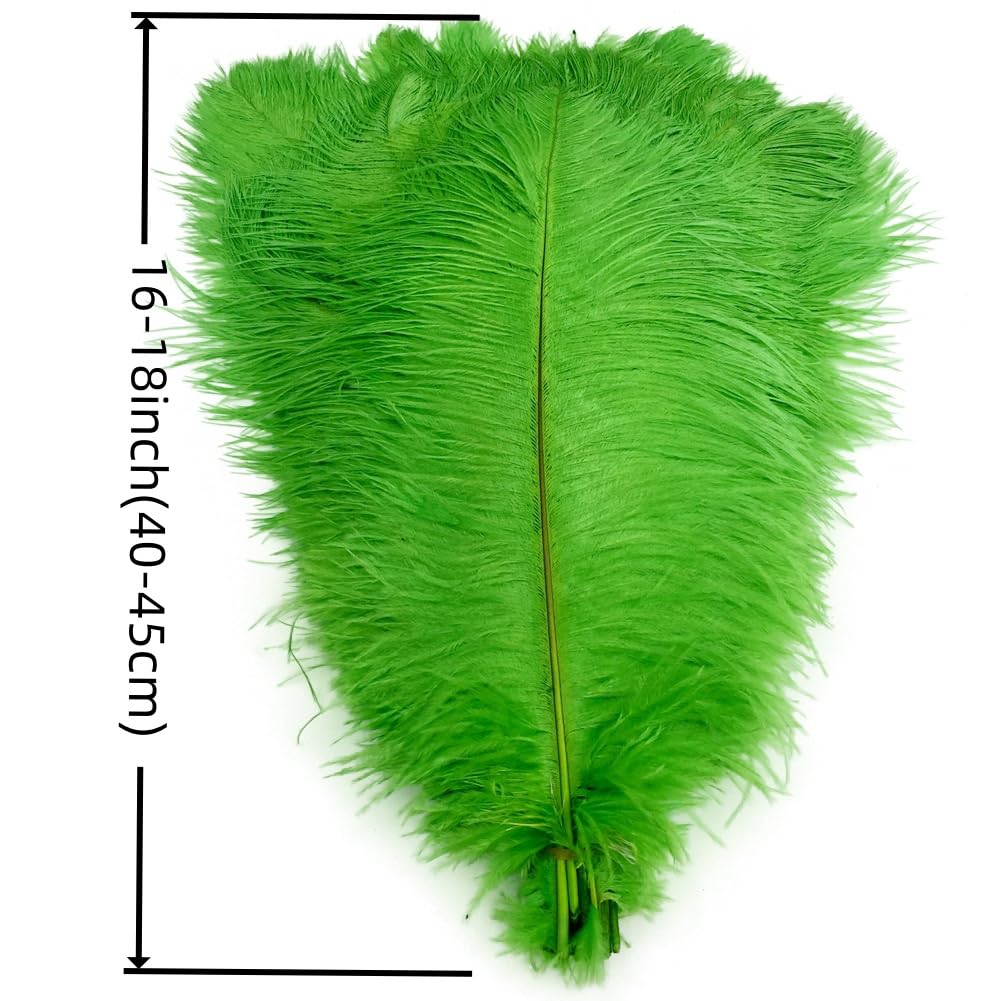 Sowder 5pcs Ostrich Feathers 16-18inch(40-45cm) Home Decoration(Lime Green) 1
