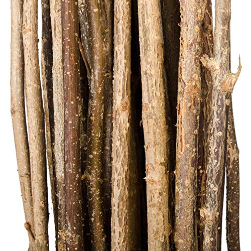 WEIDENPROFI Haselnussruten zum Verarbeiten, Flechtruten aus unbehandelter Hasel, Ø 0,6-1,6 cm, Länge ca. 180 cm - Verpackungseinheit: 25 Stück
